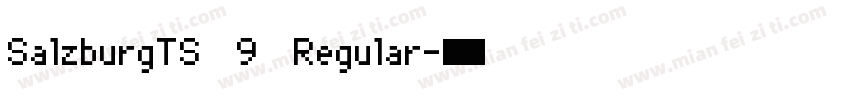SalzburgTS 9 Regular字体转换